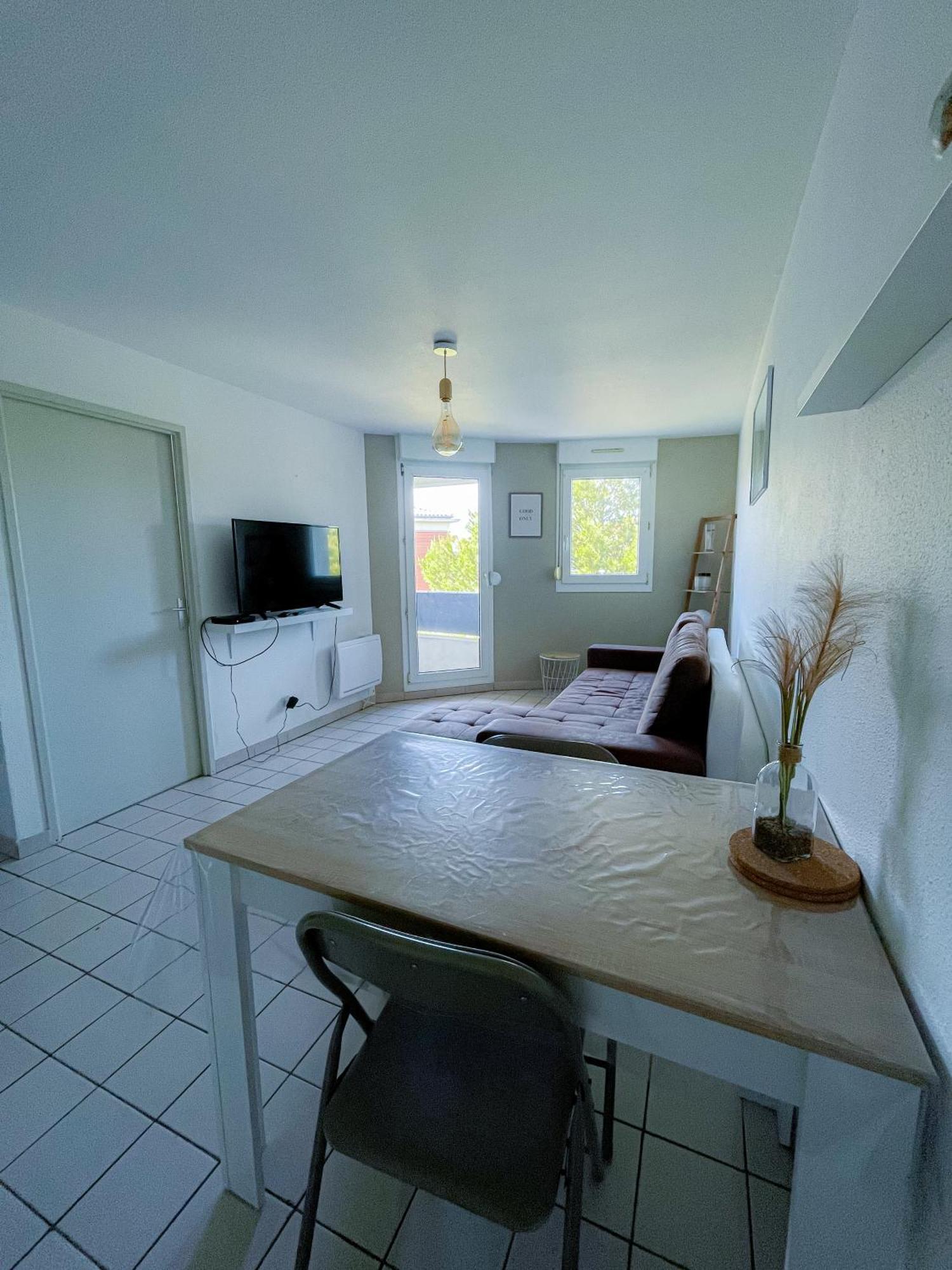 Saint-Orens-de-GamevilleLe Laurier - Cosi - Wifi - Parking - Balconアパートメント エクステリア 写真